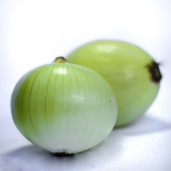 cebolla de huevo libra
