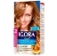 Imagen de Tinte IGORA vital rubio claro 2 tubos N.° 8.00