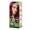 Imagen de Tinte COLORISS rubio oscuro extra rojo N.° 6.66