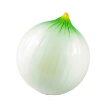 Cebolla blanca 1 und