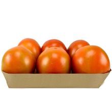 Tomate chonto