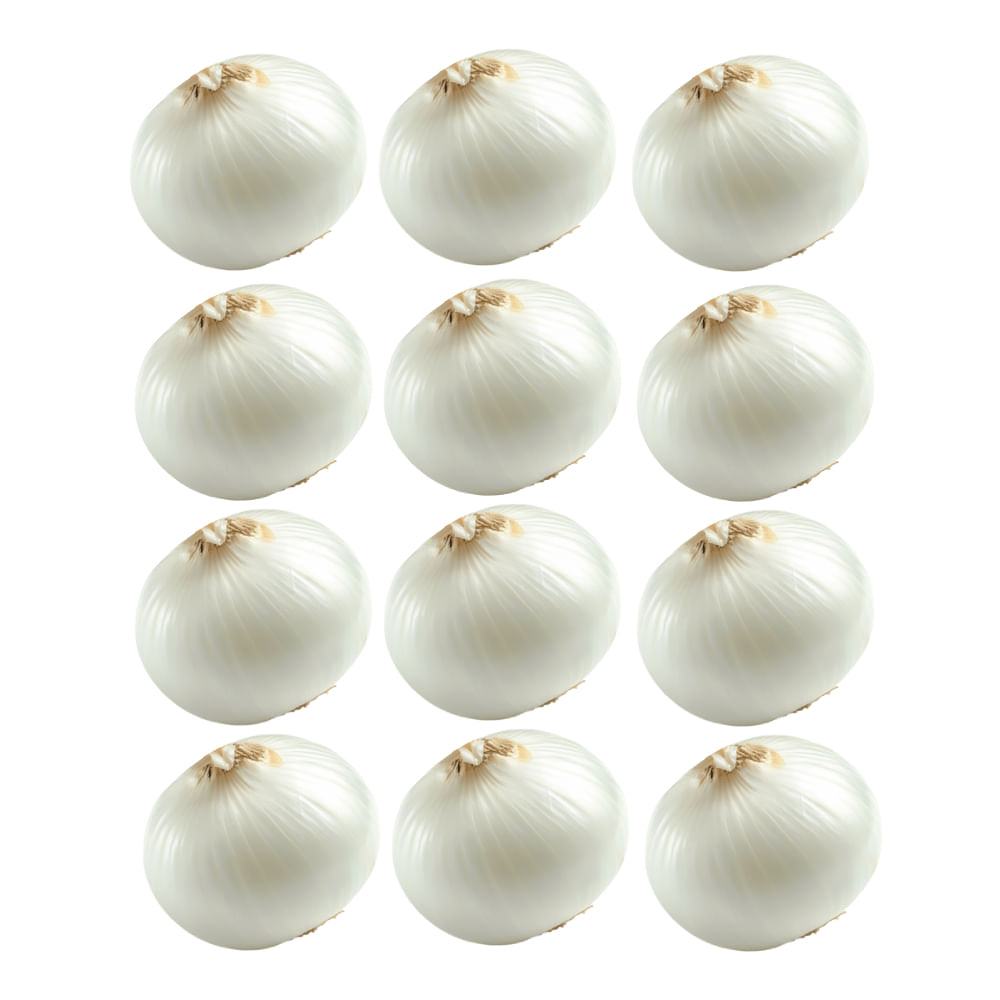 12 x Cebolla Blanca